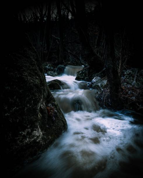 istock stream in the woods at night with light streaming through it 1466625217