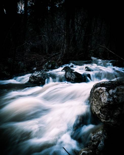istock a river running through a forest near some rocks and trees 1466625224