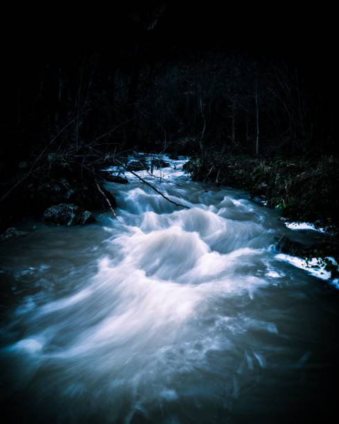 istock a flowing stream surrounded by trees at night with the moon 1466625700