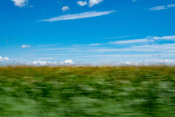 A blurred shot of green fields under the blue clear sky