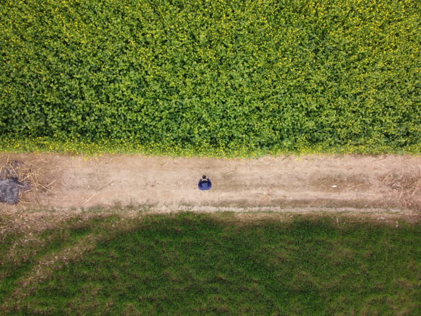 istock Top view shot of a road surrounded by some fields during the day 1466626940