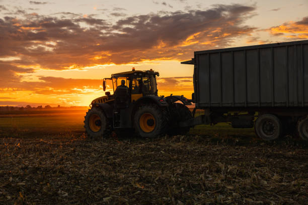 istock Farmer driving a tractor with attached trailer over crop field during sunset,side view 1466628029