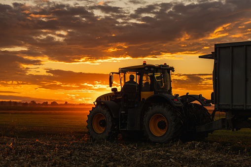 Male Farmer driving his green tractor with attached trailer over crop field during sunset,side view