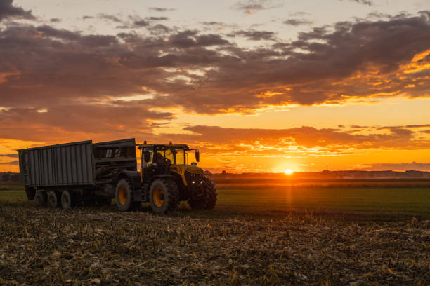 istock Tractor with trailer standing on cropped corn field during sunset,countryside 1466628405