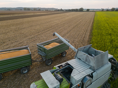Drone view of green combine harvester filling corn into two trailers on agricultural field during daylight