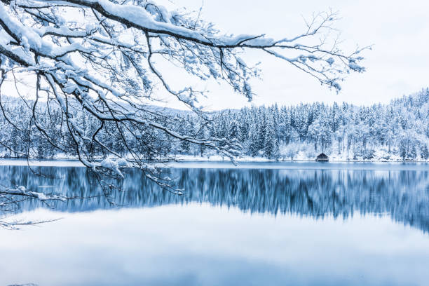 istock Magical shot of a river surrounded by a forest covered in snow 1466629764
