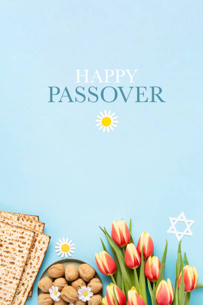 Passover greeting card with matzah, nuts daisy and tulip flowers on blue background. Jewish holiday Passover greeting card concept with matzah, nuts, tulip and daisy flowers on blue table. Seder Pesach spring holiday background, top view, copy space. passover celebration stock pictures, royalty-free photos & images