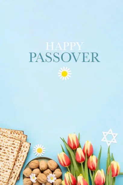 Jewish holiday Passover greeting card concept with matzah, nuts, tulip and daisy flowers on blue table. Seder Pesach spring holiday background, top view, copy space.