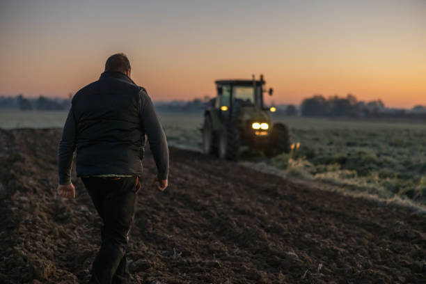 Man with short brown hair,and a black vest is walking on his agricultural field in the evening,with tractor in the background,lights on tractor are turned on Man with short brown hair,wearing trousers and a black vest is walking on his agricultural field in the evening,rear view with green tractor in the background,lights on green tractor are turned on agricultural activity stock pictures, royalty-free photos & images