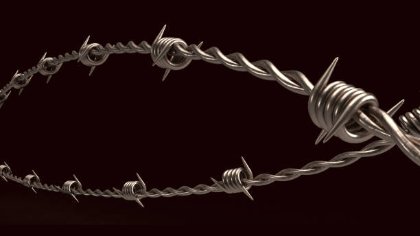 The  barbed wire on black background  for security or military concept 3d rendering