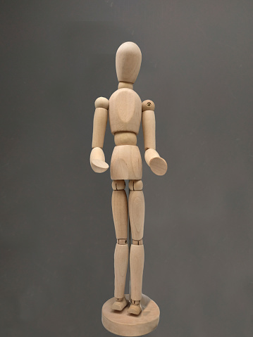 A vertical shot of a wooden human body figure isolated on gray background