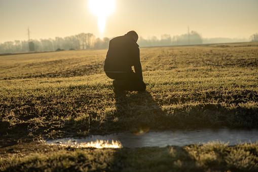 Male farmer with short brown hair,wearing black trousers,a gray pullover and black vest is kneeling down on his agricultural field to check the small plants growing on the field during sunset,rear view