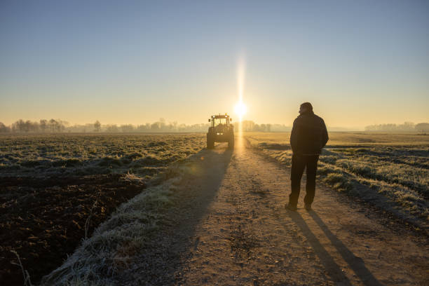 短い茶色の髪の男が夕方に農道に立っている、ライト付きのトラクターが遠くに駐車されている、地平線に太陽 - frost work ストックフォトと画像