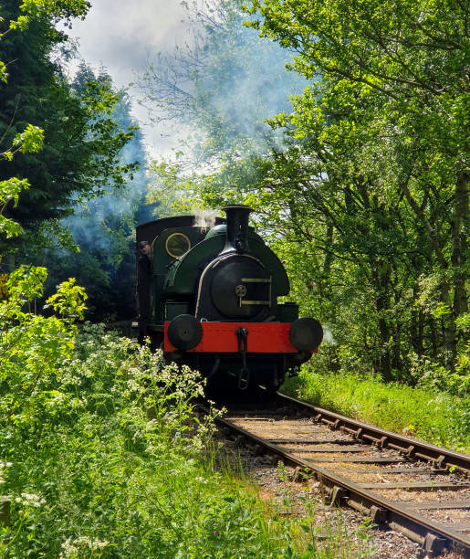 Taken this picture somewhere in Smoky Mountains of the railway train passing through forest. Tried to capture the train in motion passing along thick foliage.