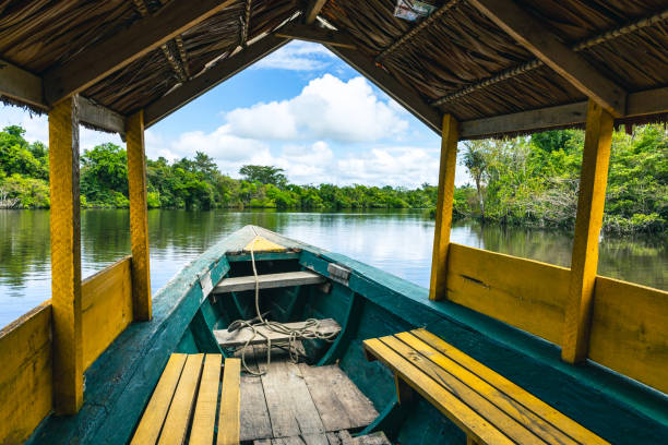 Amazon Green Rainforest Riverbank. Traditional local fishing boats, view from inside. Amazon jungle, near Iquitos, Peru. South America. stock photo