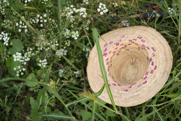 A high angle shot of a hat in a field during the day