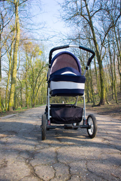 istock Baby buggy on a footpath at a park 1466639702