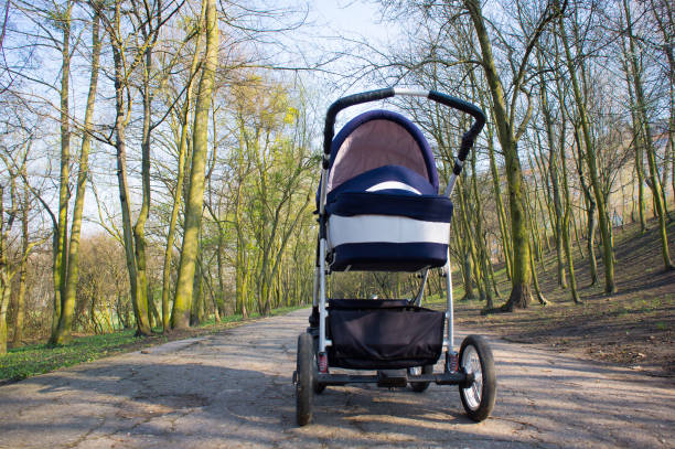 istock Baby buggy on a footpath at a park 1466639703