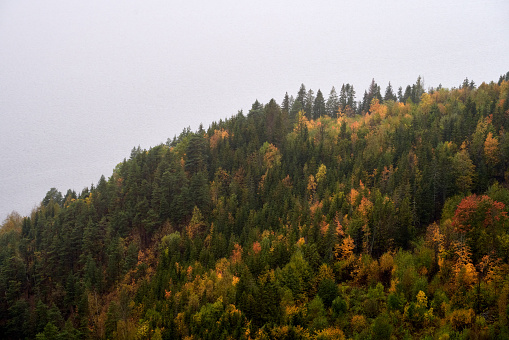 An aerial view of a forested hill in autumn colors