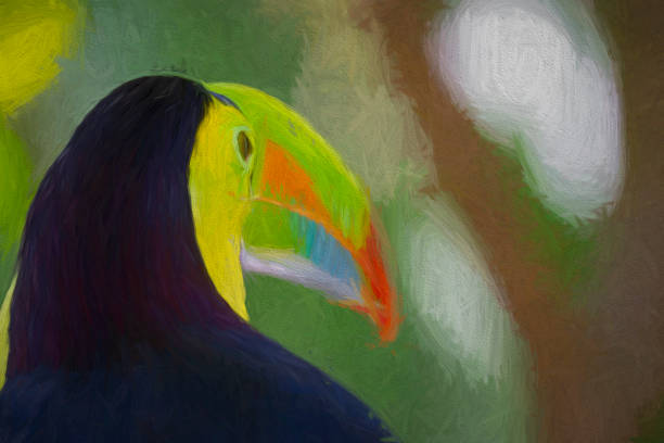 Grand Canary, Spain, 07.09.1999. In the large Palmitos Park, located in the south of the island of Grand Canary, there are numerous animals and plants. In the photo, in a large cage, a black toucan with a white throat and blue eye contours. On its beak a red spot