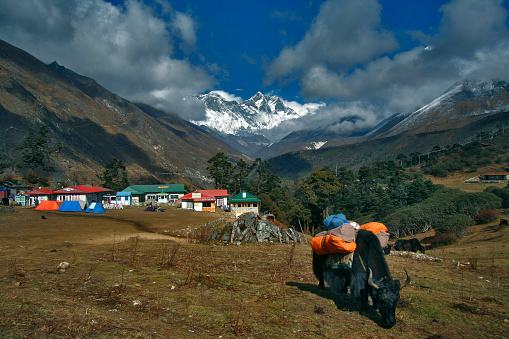 The Tengboche village in Nepal in the background of Mt. Everest and Lhotse