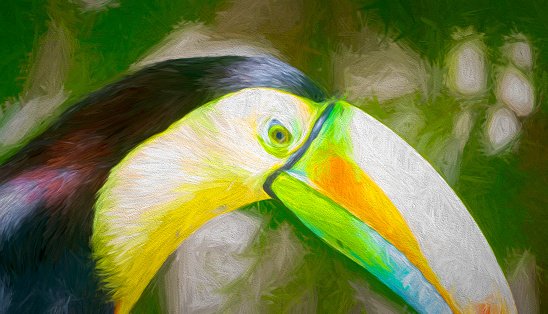 Keel billed or Rainbow Toucan in a Costa Rican rainforest.  Heavily post processed to give a painterly effect.