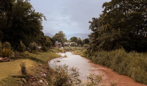 istock Muddy canal surrounded by trees and plants 1466641039