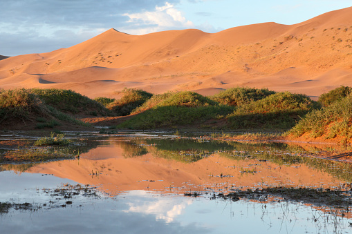 Scenic view of reflection in water of Khongoryn Els Gobi Desert, Gobi Gurvansaikhan National Park, Mongolia.