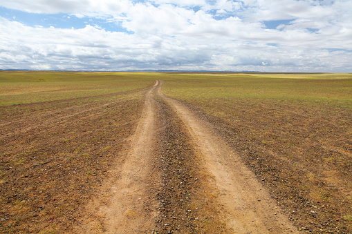 Empty road passing through Gobi desert, Gobi Gurvansaikhan National Park, Mongolia.