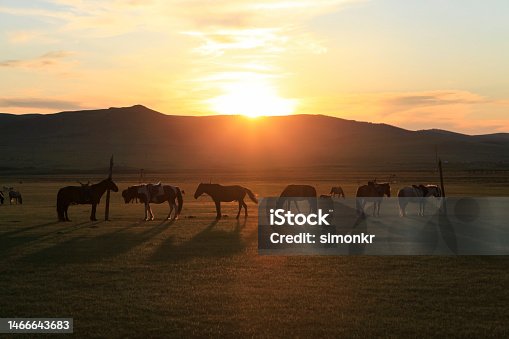 istock Horses standing on steppe 1466643683