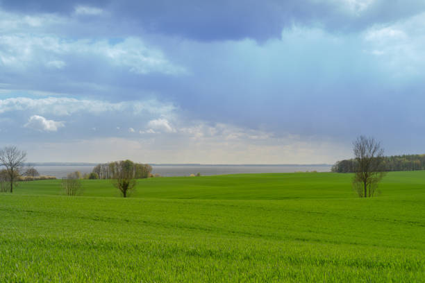 A beautiful view over green fields on the German Baltic coast near Groemitz