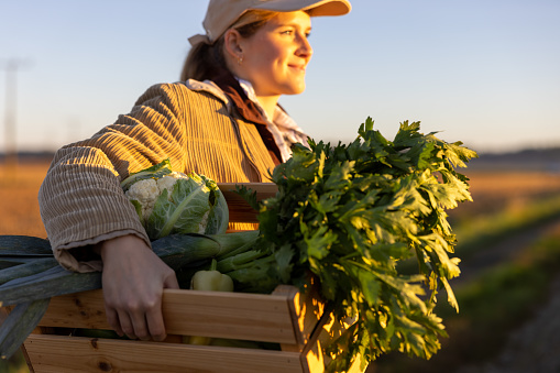 Blond woman with hair tied in a ponytail,wearing a cap,smiling while looking at the sunset over her agricultural field,holding a wooden box filled with fresh vegetables under her arm,focus on foreground