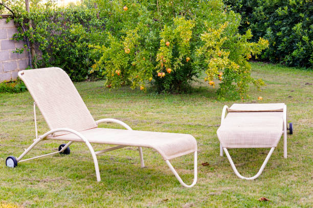 istock Two sun loungers in the backyard 1466646343