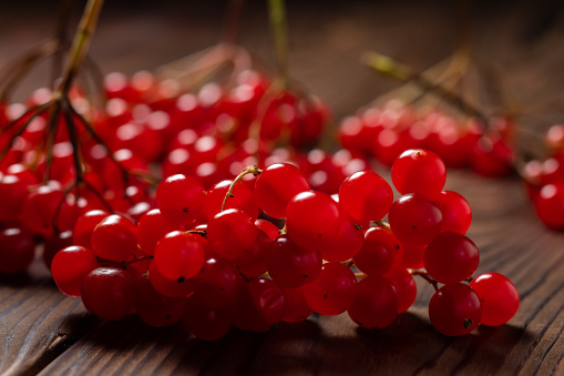 Branches red berries of Viburnum, arrow wood, on wooden background.