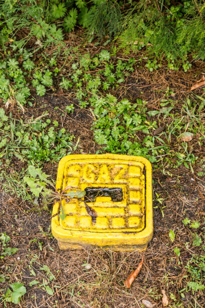 istock Closeup shot of underground container 1466648744