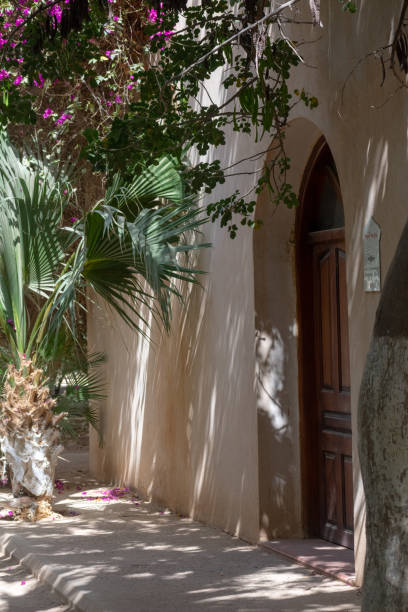 istock Landon Garden in Biskra, Algeria 1466649028
