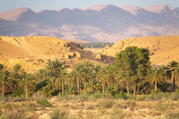 istock Scenic view from El Gantara, Biskra 1466650128