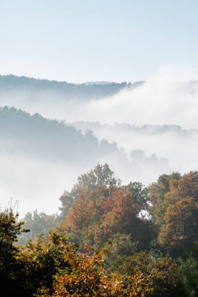 istock Mountain Ida in Autumn, Turkey 1466651123