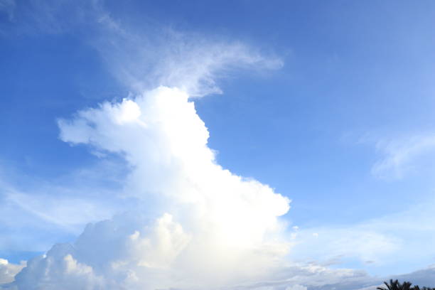 Full frame of the low angle view of wispy wavy white clouds in the blue sky