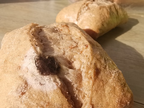 Mobile shot wheat bun roll mould not eatable
