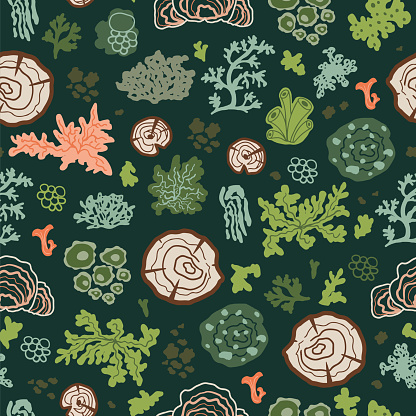 Moss pattern. Green forest mosses, lichens, stumps seamless background. Woodland botanic and biology surface pattern design. Cute fungus nature wallpaper, textile, organic print. Vector illustration.