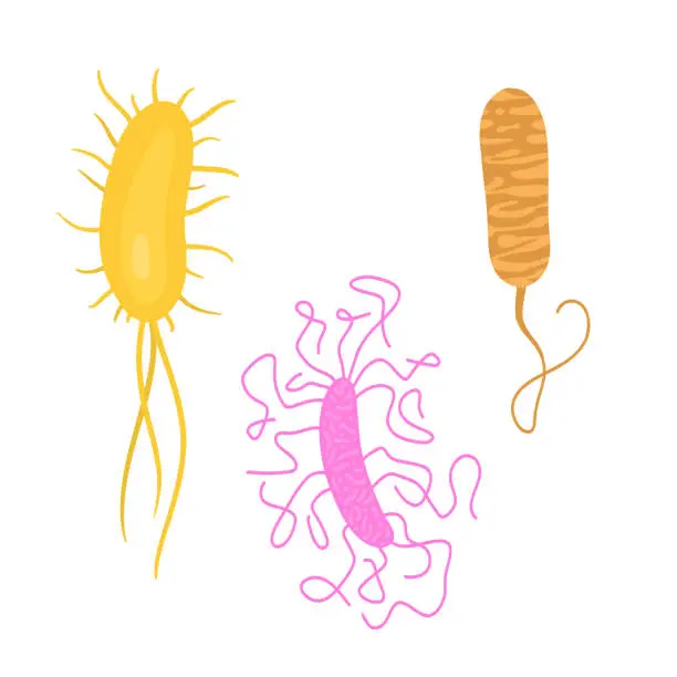 Vector illustration of Tree bacteria and virus. Biology micro organisms