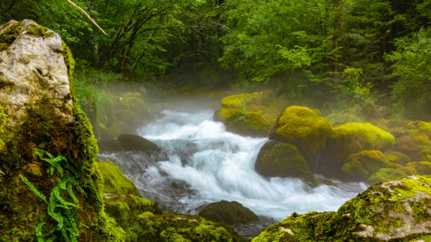 istock Natural river flowing through idyllic rocks,fog above the river 1466676560