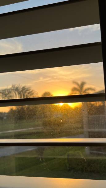 istock A GOLDEN BALL RISING IN MY BACKYARD 1466677371