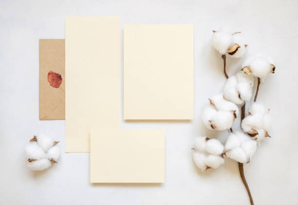 istock Blank cards and envelope with cotton flowers top view on white, wedding mockup 1466683733
