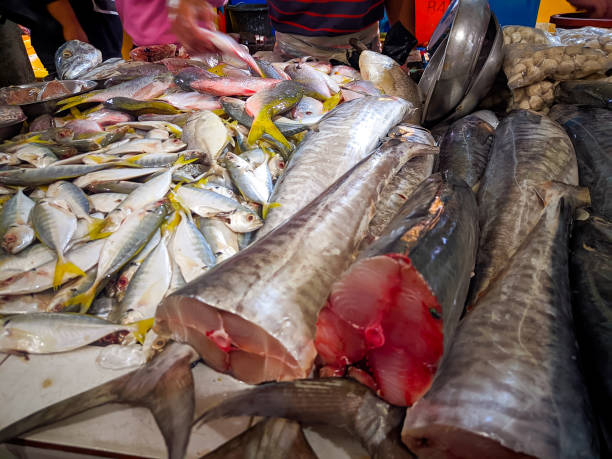istock Various type fish in the traditional market 1466684426