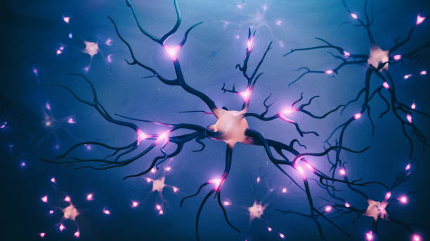 image 3d abstraite de cellules neurales - sensory perception human nervous system healthcare and medicine nerve cell photos et images de collection