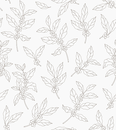 Seamless pattern of coffee tree branches. Coffee beans. Line illustration.