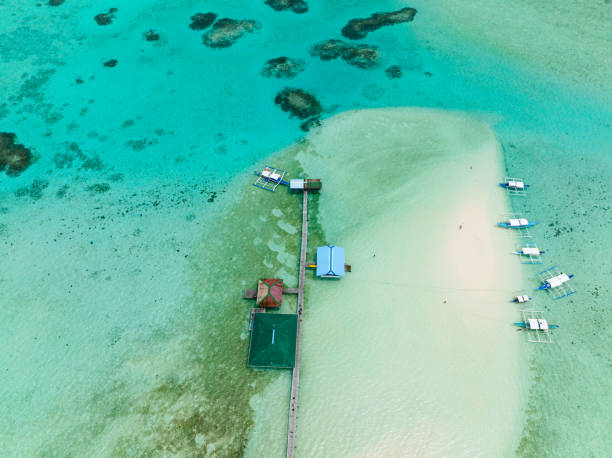 istock Tropical island with a beach. 1466690371