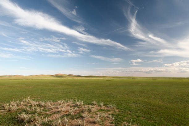 Open prairie landscape extends to the horizon beneath vibrant blue sky. Wispy white clouds drift across, creating dramatic backdrop. Sun casts bright glow, illuminating scene. Foreground displays dry, sparse vegetation typical of Colorado's high plains